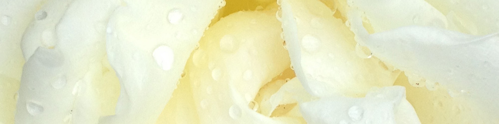 Craniosacral Therapie
